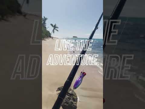 A Day in the Life: Island Survival Adventures