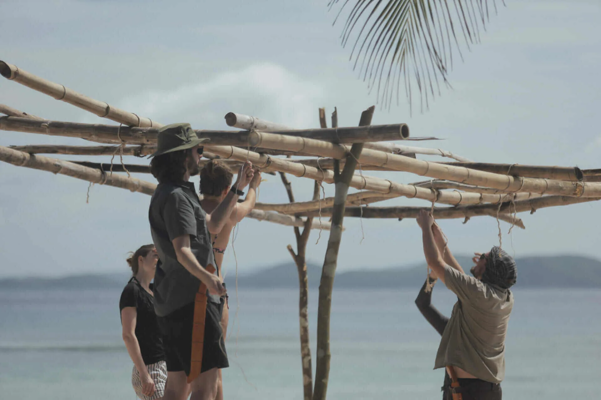 How to Survive on a Desert Island: A Comprehensive Guide 3 building a shelter