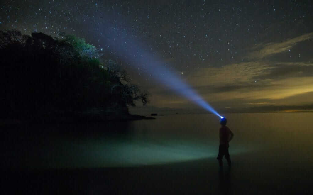 Stranded on an island? Here's an Insight on How You May React - The Ultimate Survival and Personality Test 4 A man in the water with a flashlight, raising questions.