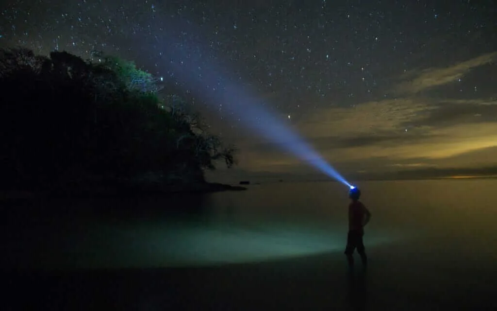 A man in the water with a flashlight, raising questions.