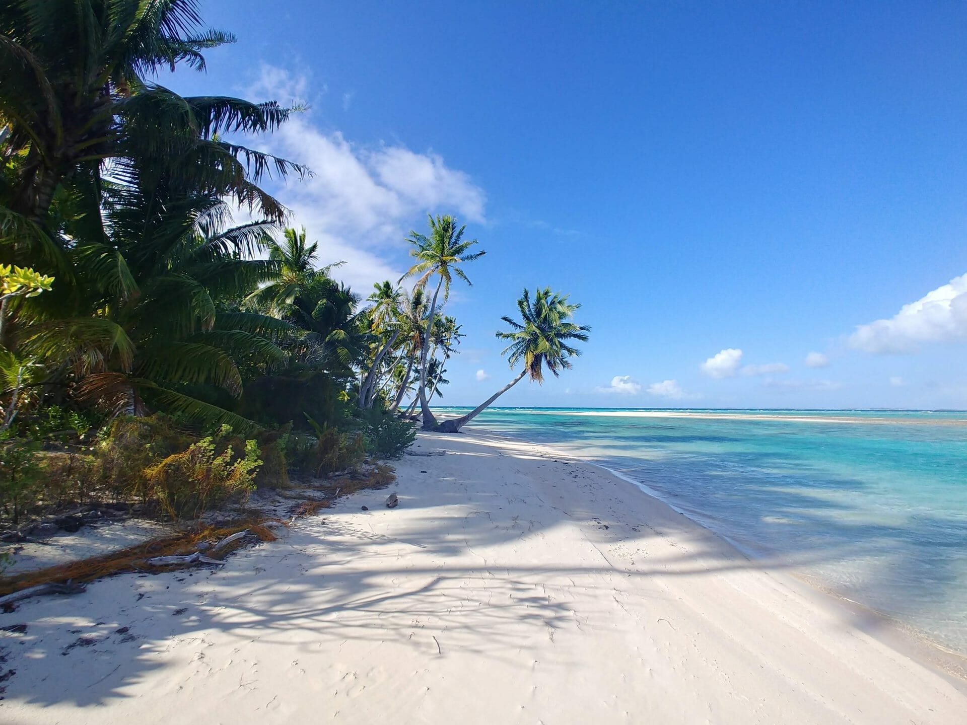 What Is The Most Remote Island In The World Desert Island Survival What Is The Most Remote Island In The World Desert Island Survival