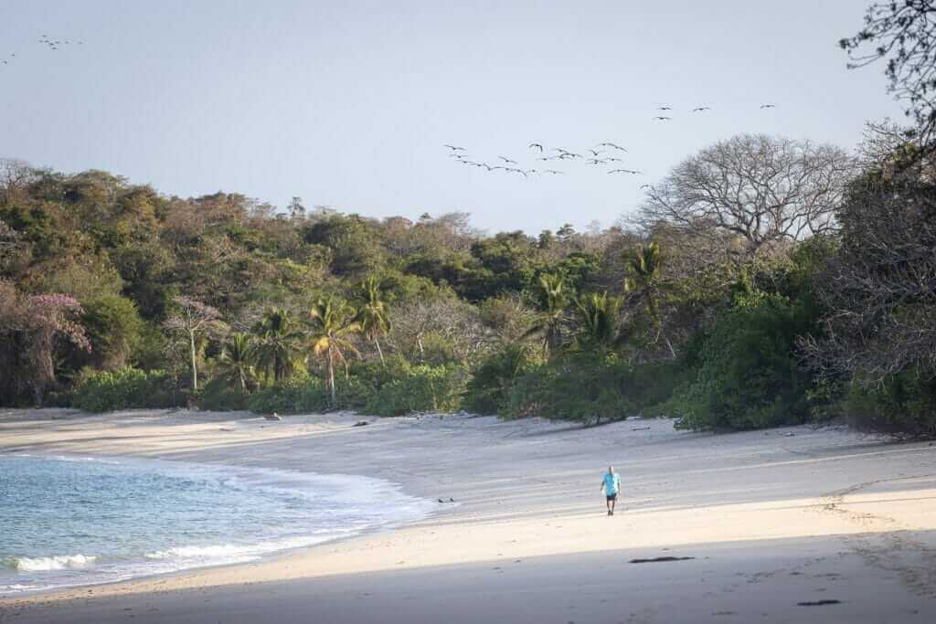 Home 32 A man walking on a sandy beach with birds flying overhead.