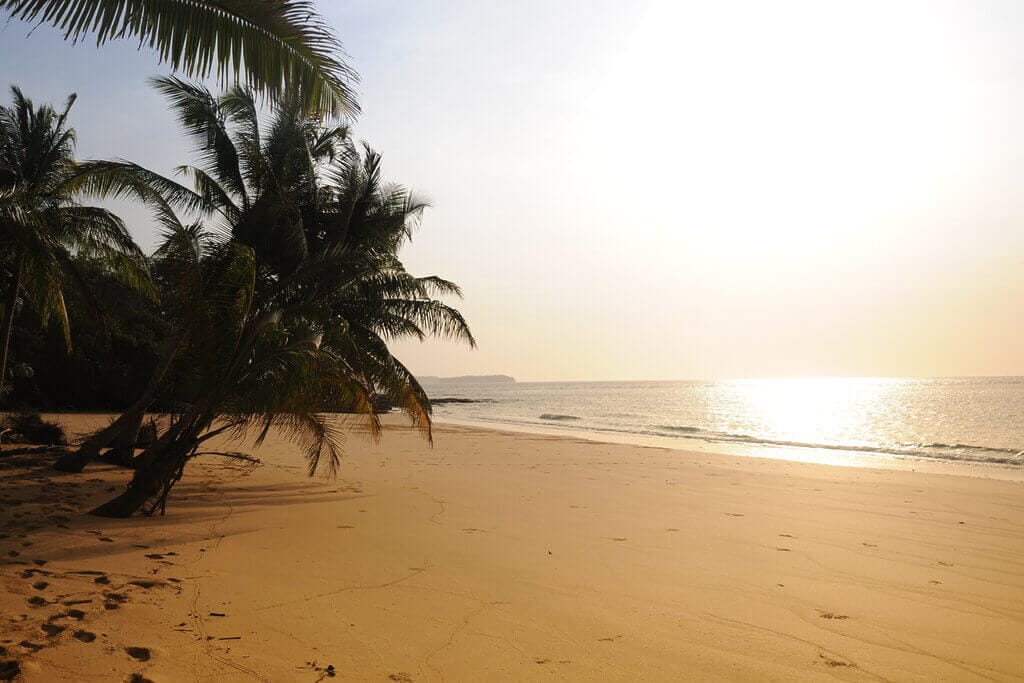 Stranded on an island? Here's an Insight on How You May React - The Ultimate Survival and Personality Test 2 stranded on a beach