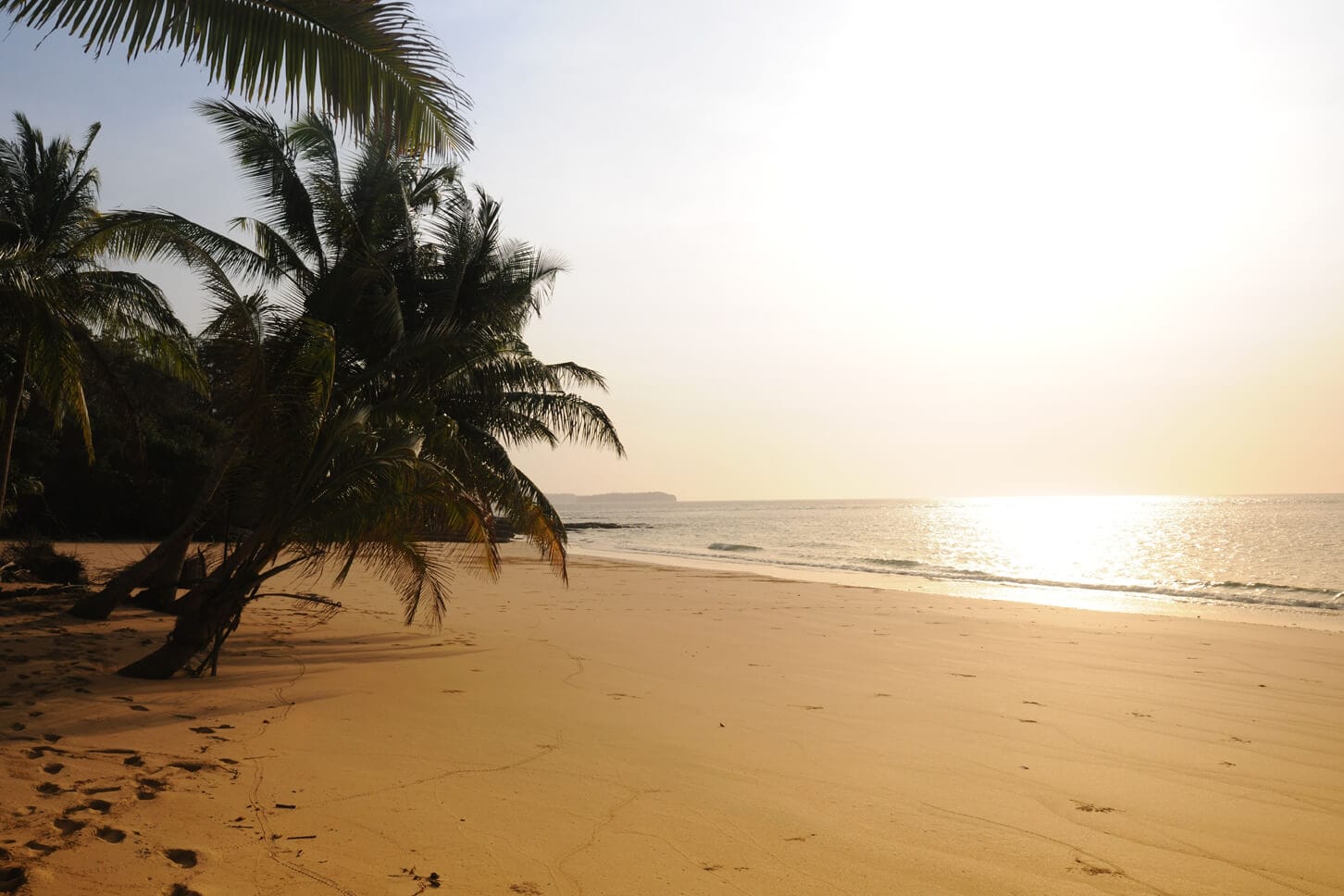 Stranded On An Island The Unforeseen Adventure And Your Journey To Stranded On An Island The Unforeseen Adventure And Your Journey To