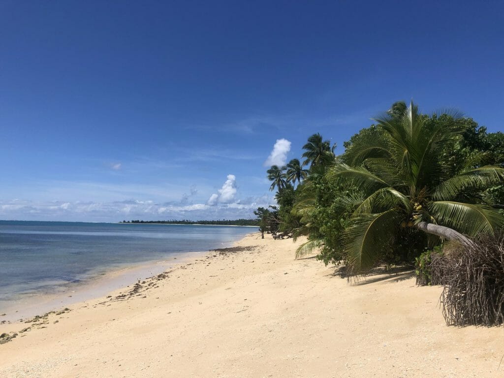 Desert Island Survival Adventure in Tonga 8 A sandy beach with palm trees on it.