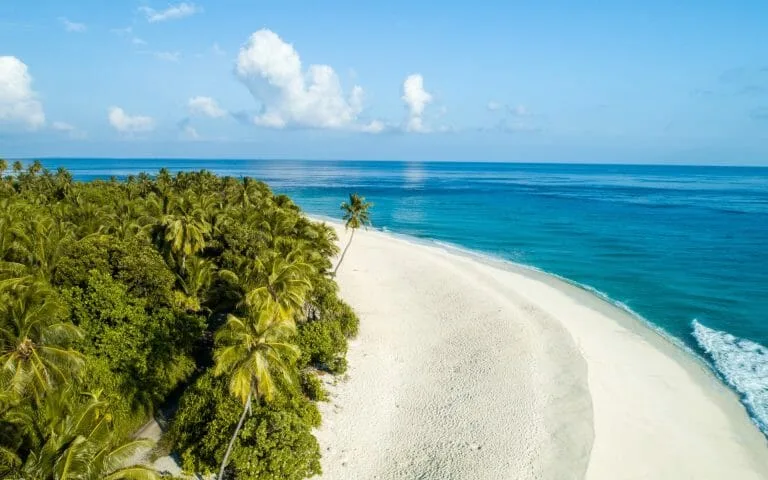 An aerial view of a white sandy beach with palm trees in Indonesia.