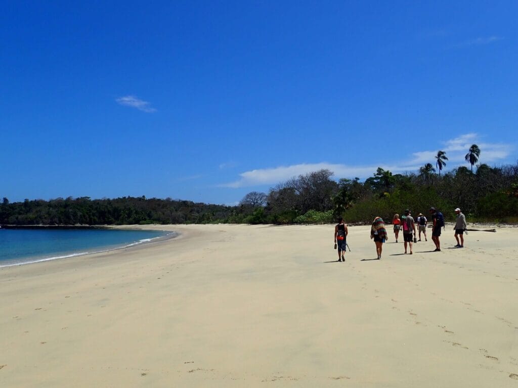 Castaway group on desert island