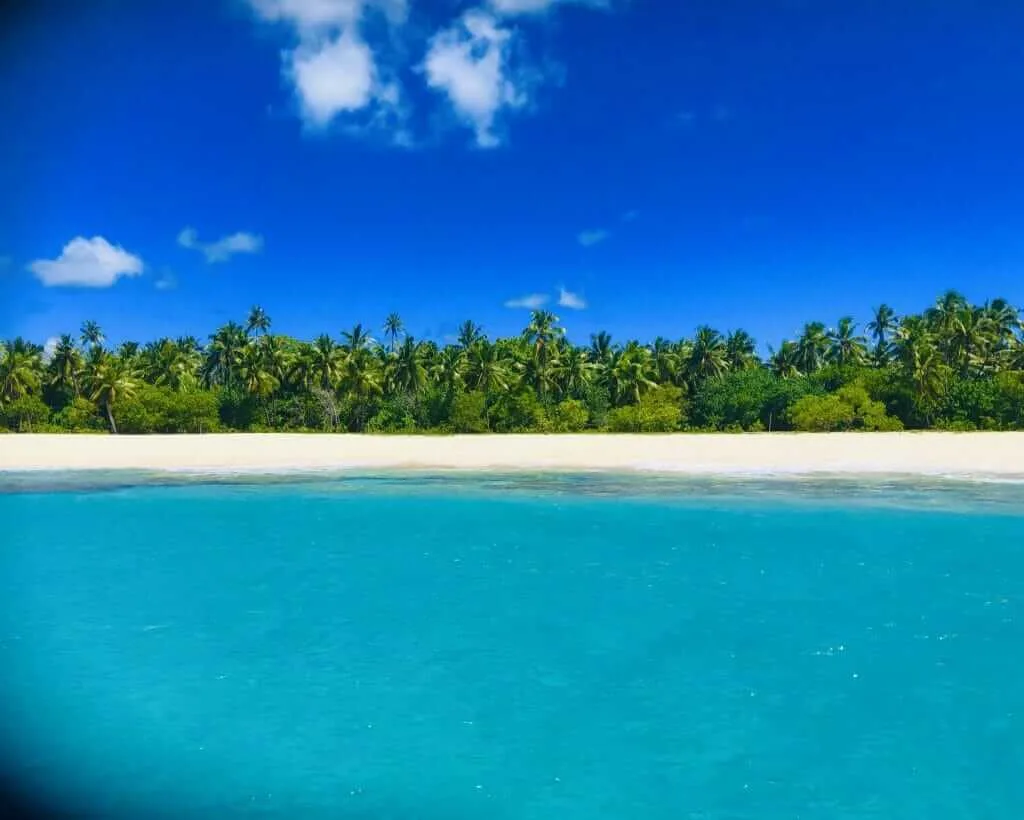 Turquoise water meets a white sand beach lined with palm trees, perfect for an island adventure.