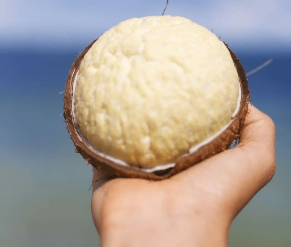 How to Survive on a Desert Island: A Comprehensive Guide 10 nutritious coconut