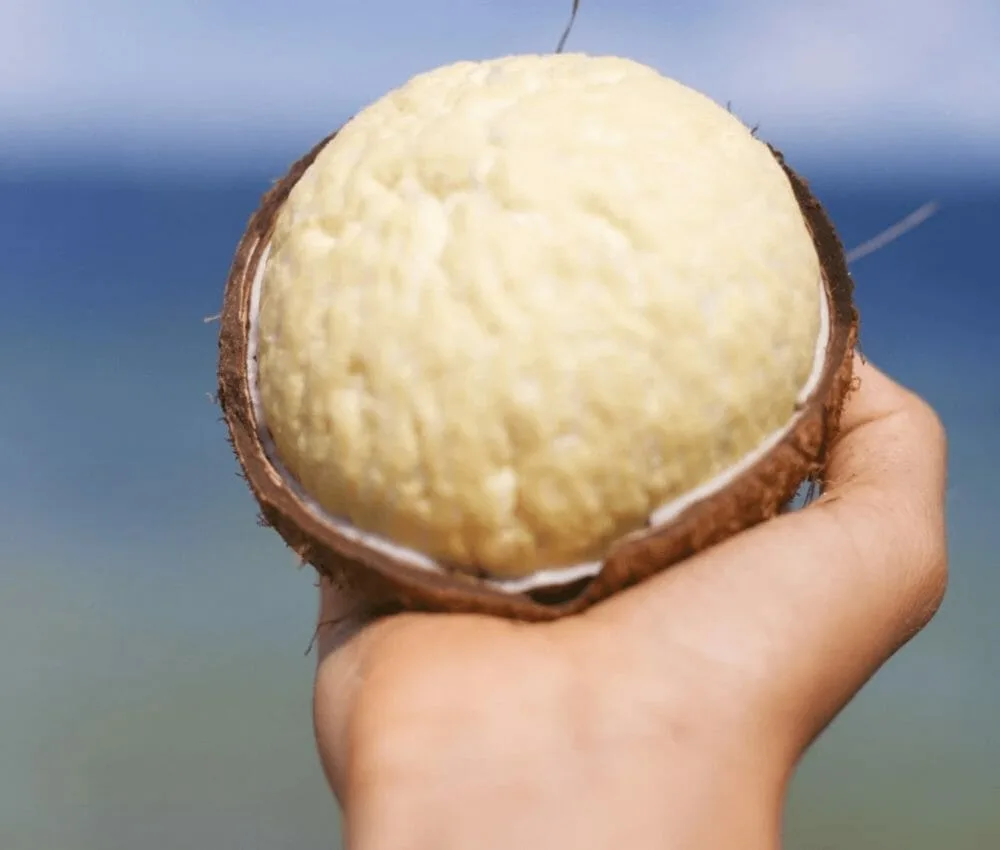 nutritious coconut