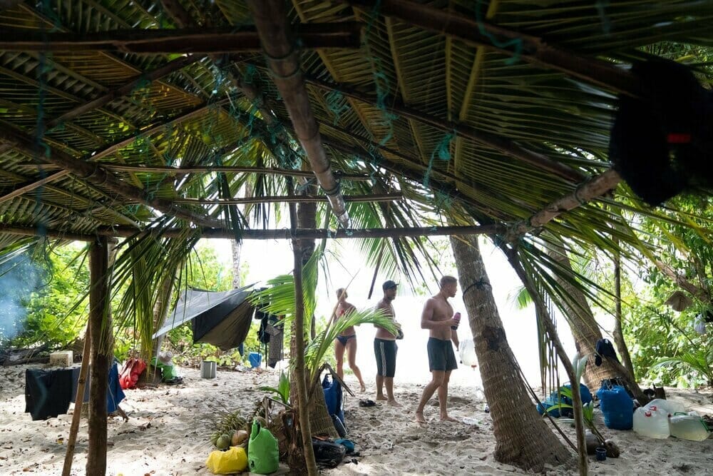 How to Survive on a Desert Island: A Comprehensive Guide 4 Shelter building on a desert island