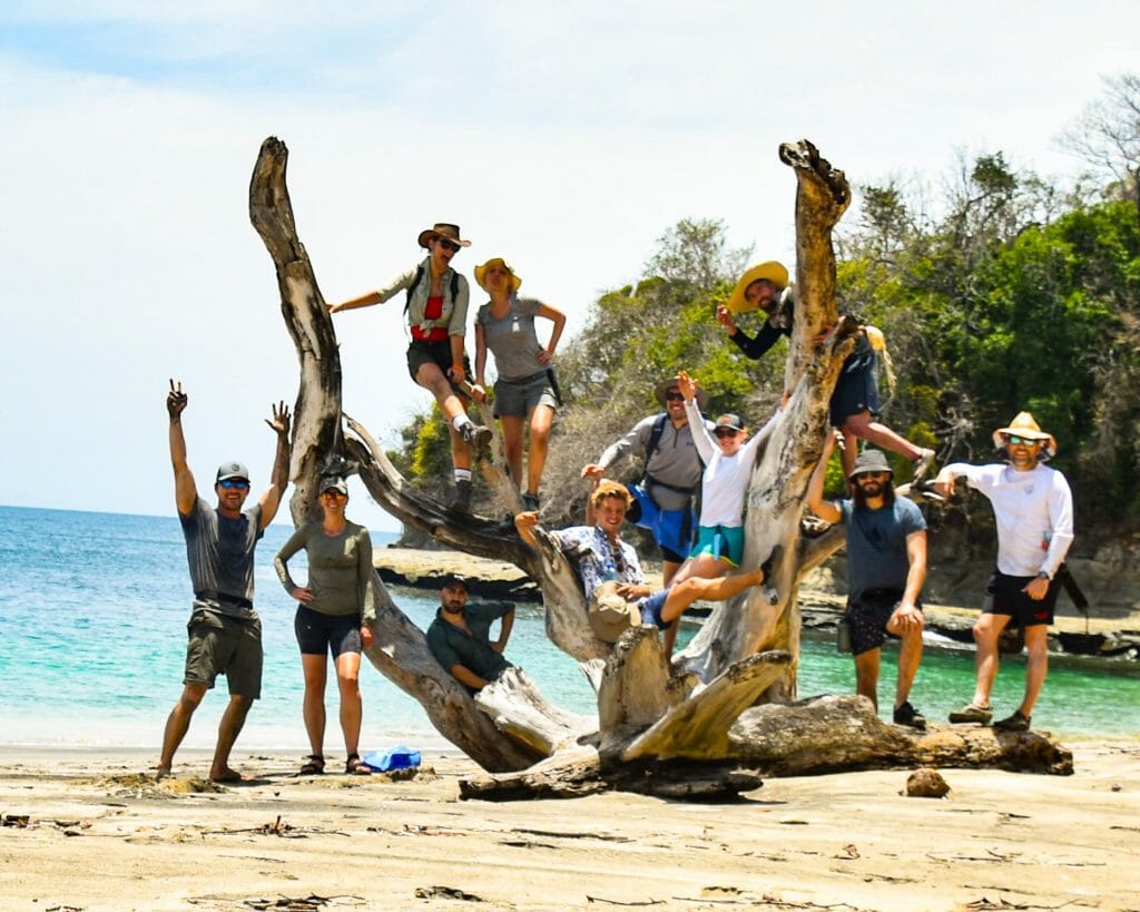Home 27 Happy people on big tree trunk on the beach