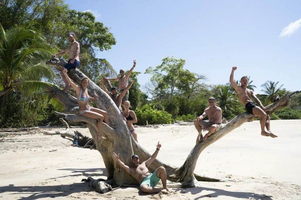 Group on tree trunk on the beach