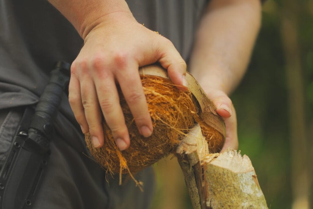 The Coconut Paradox: The Ultimate Guide to Surviving on Coconut Alone 6 10aab07a 94dd 4294 adbe 92a75b706cf2