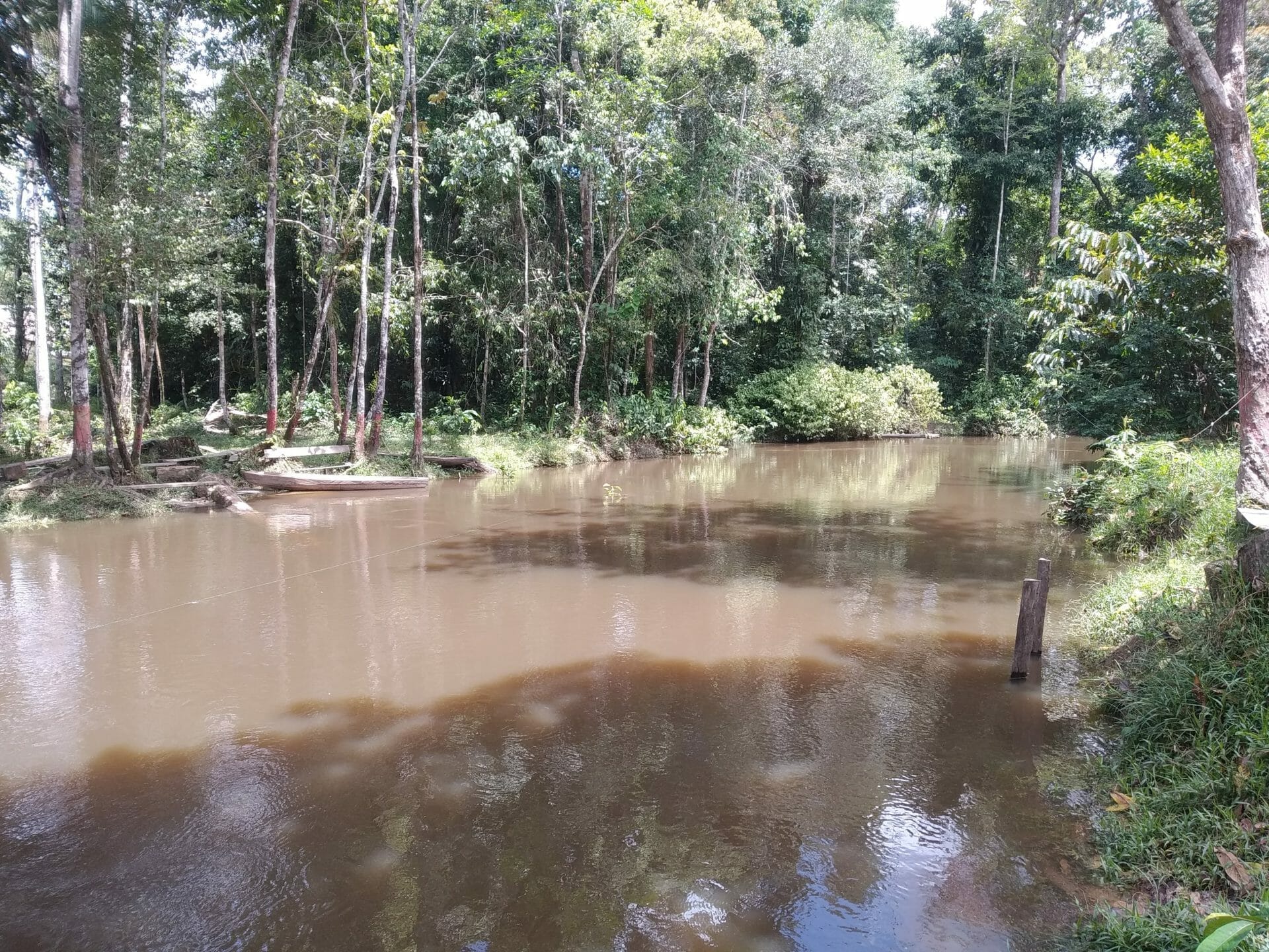 Kids Survive in the Amazon: the Incredible Survival Story in the Colombian Amazon jungle. How did they do it? 5 Amazon jungle