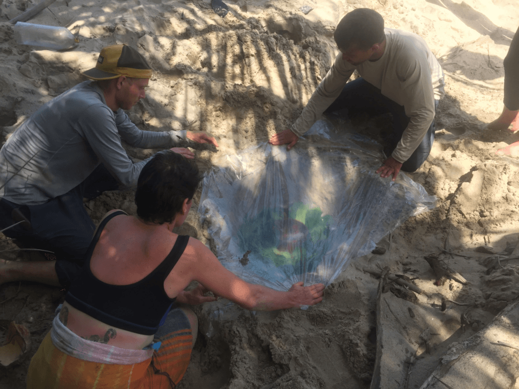 Your Survival Guide on how to find Water in the Wilderness 5 water collection on a beach