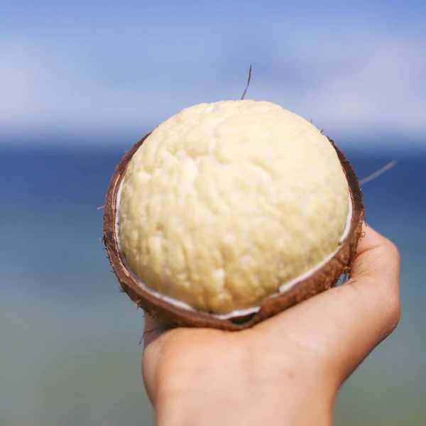 The Coconut Paradox: The Ultimate Guide to Surviving on Coconut Alone 4 sprouted_coco_beach
