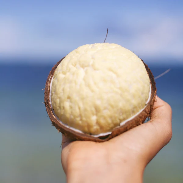 The Coconut Paradox: The Ultimate Guide to Surviving on Coconut Alone 16 sprouted_coco_beach