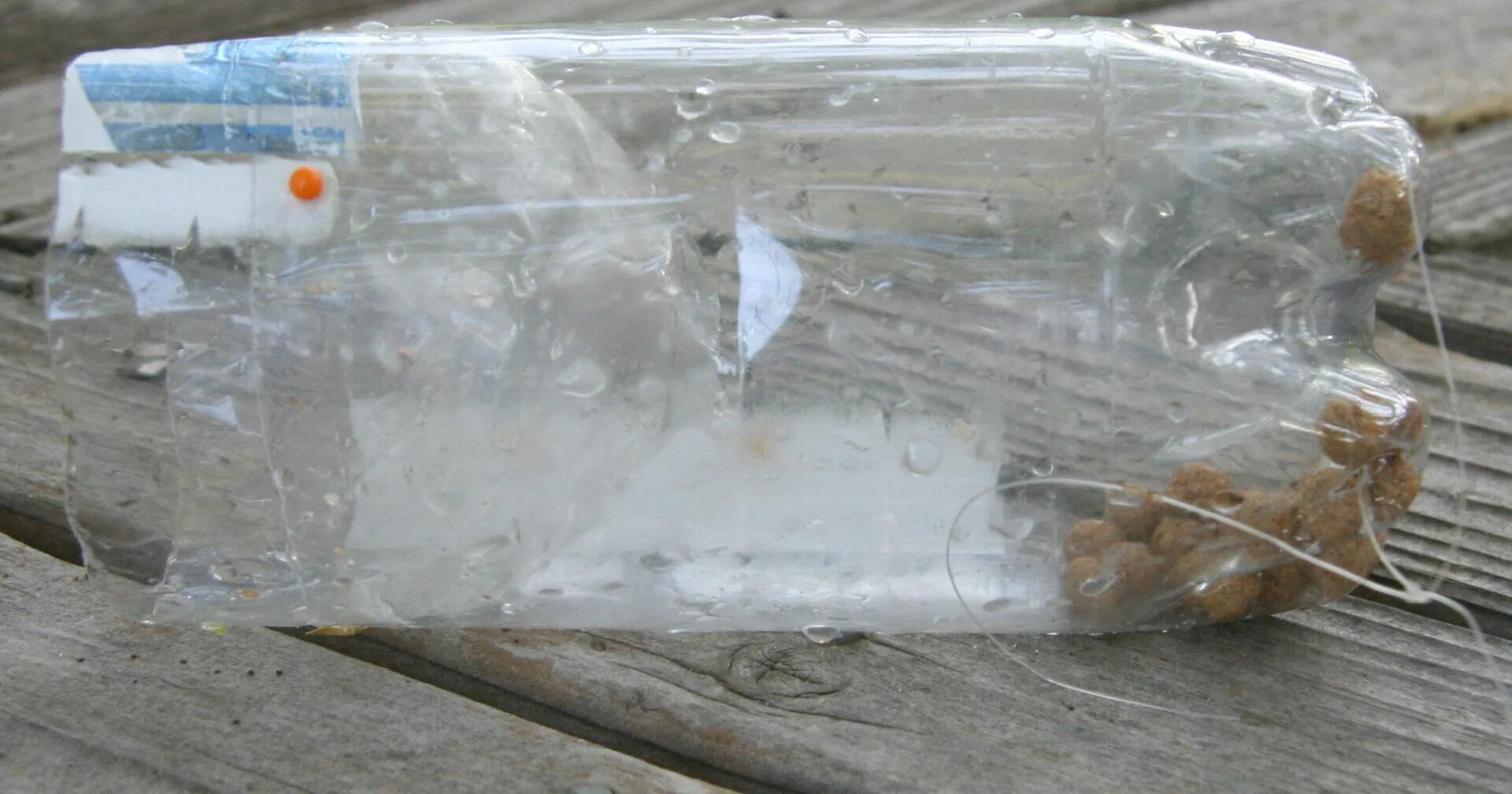 Image credit: fish trap by Bill Bumgarner, found on Flickr