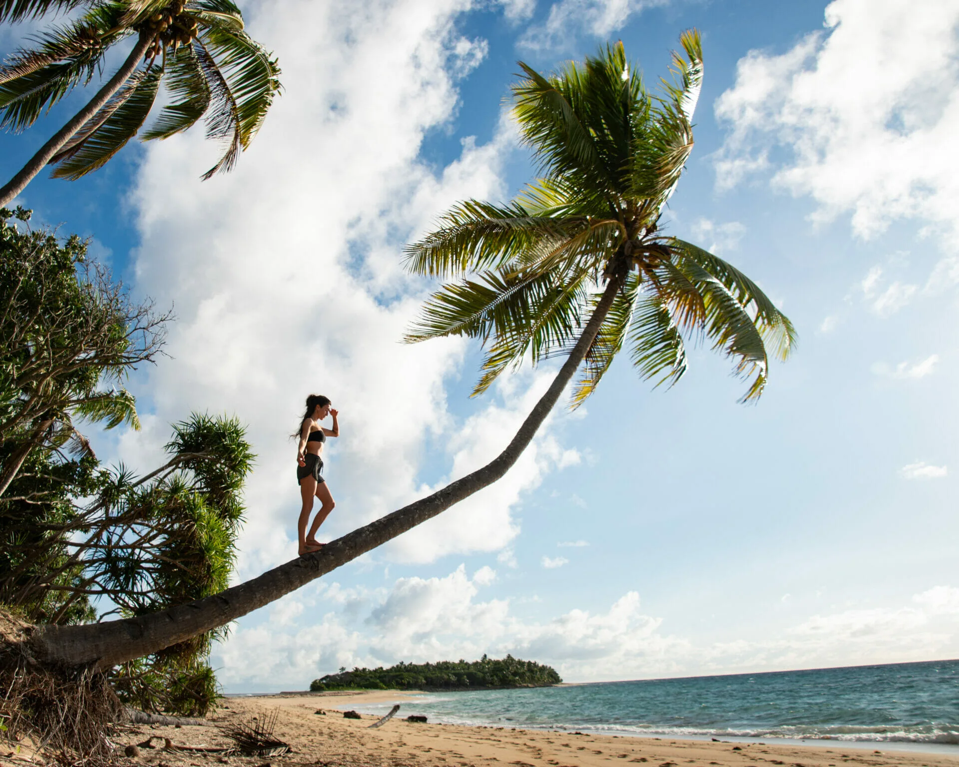 Woman on a palm tree by the beach in Tonga