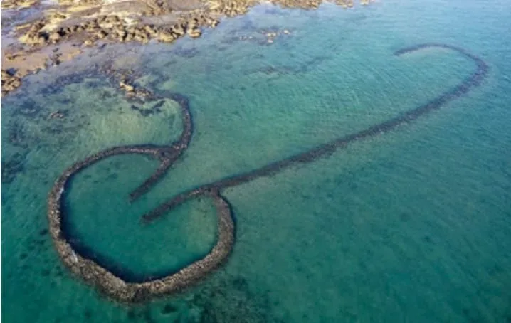 Basket fish trap with Naomi Allsworth