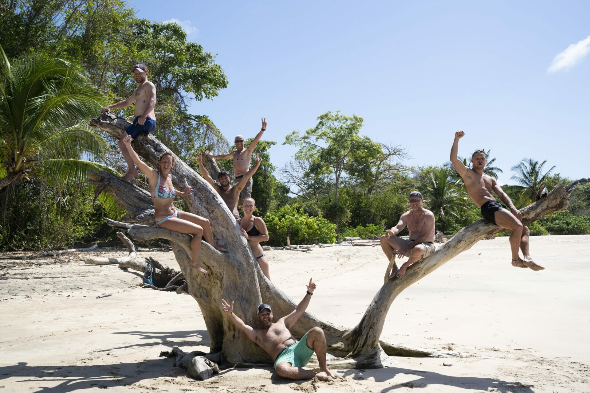 3 things to bring on a deserted island