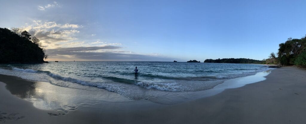Unlocking a Balanced Life: The Comprehensive Guide to Digital Detox 3 fish on empty beach
