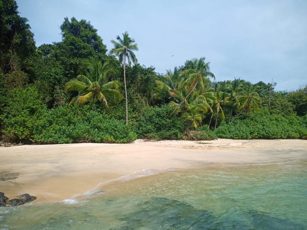 Unlocking a Balanced Life: The Comprehensive Guide to Digital Detox 6 jungle beach