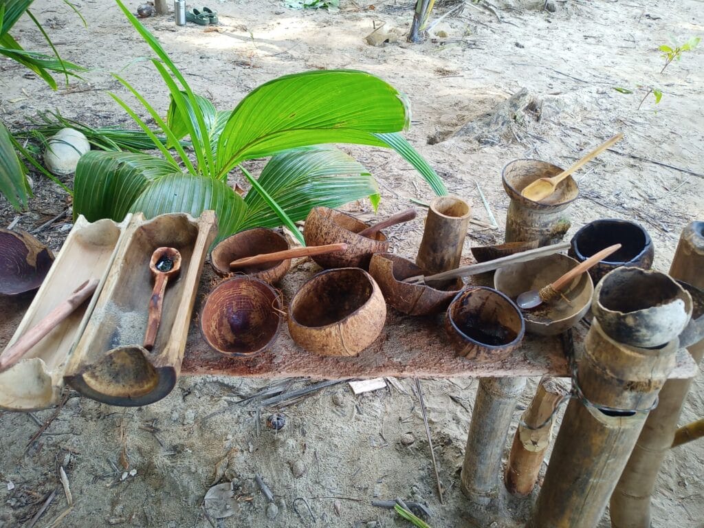 bowls and spoons made from coconut