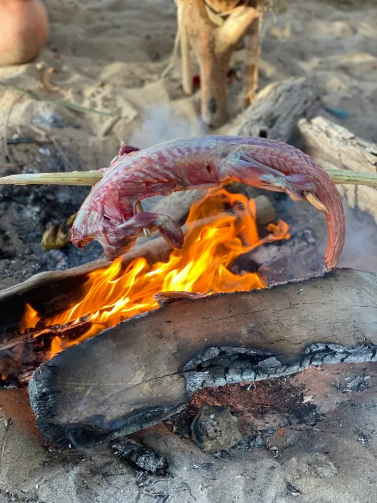 Iguana on a stick over fire. wilderness cooking