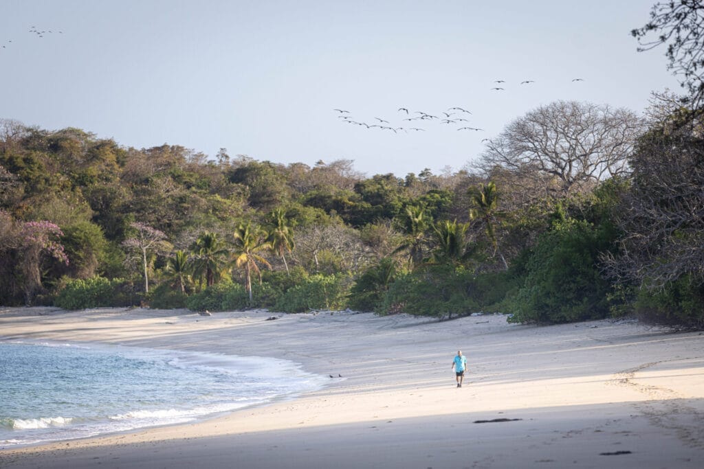 Stranded on an island? Here's an Insight on How You May React - The Ultimate Survival and Personality Test 1 stranded on an island