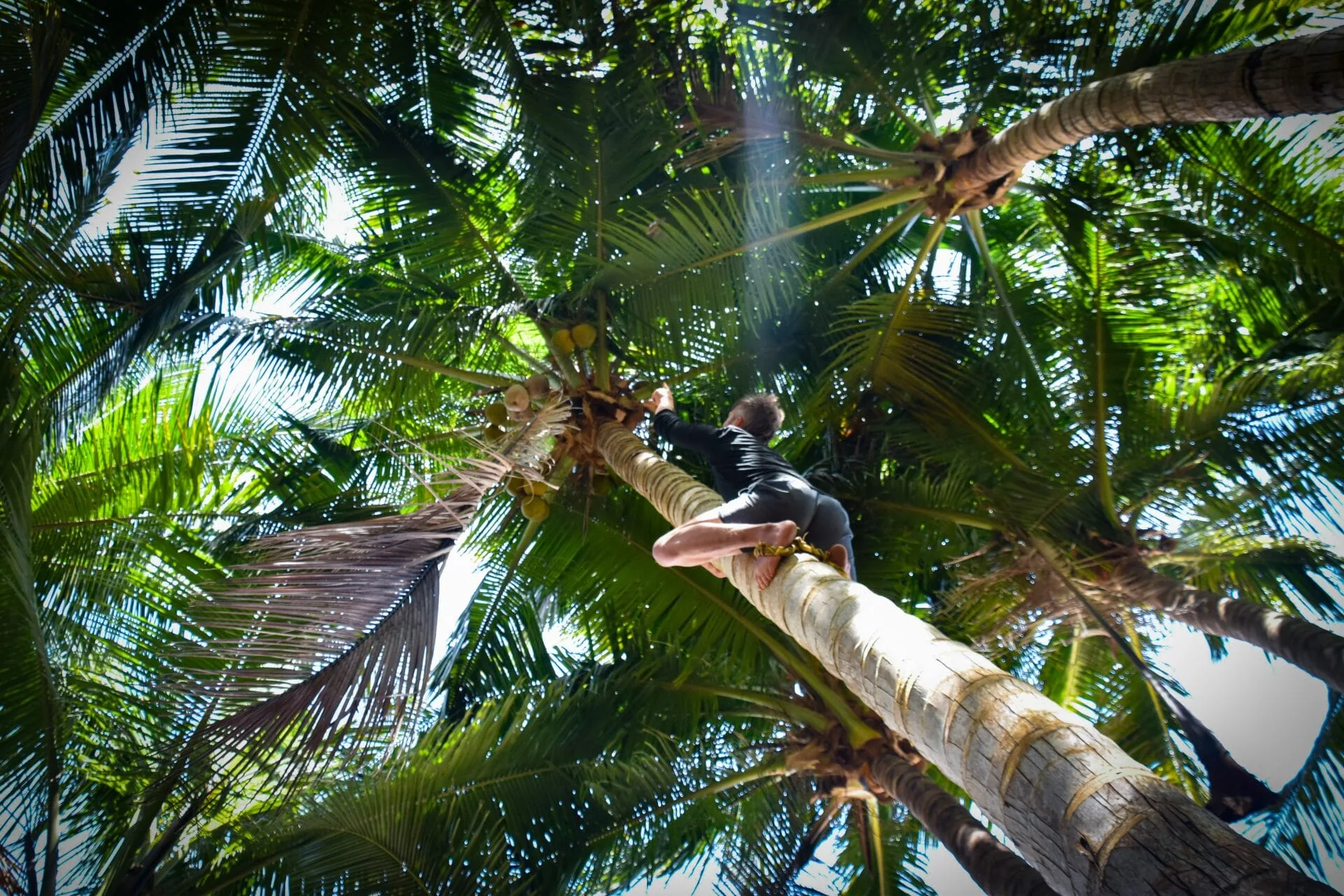 island Wilderness Experiences 8 extreme holidays