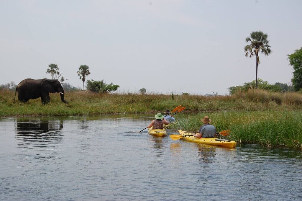 Botswana travel guide 7 299921098 532364308688463 8016508860013691683 n