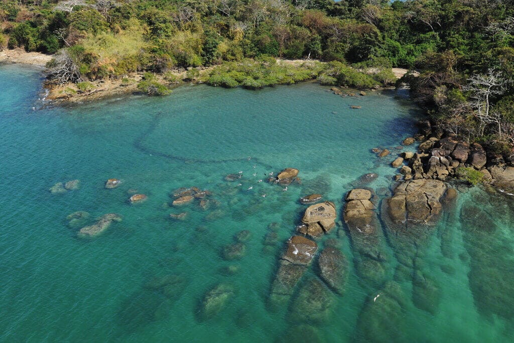 Stranded on an island? Here's an Insight on How You May React - The Ultimate Survival and Personality Test 5 Panama desert island survival