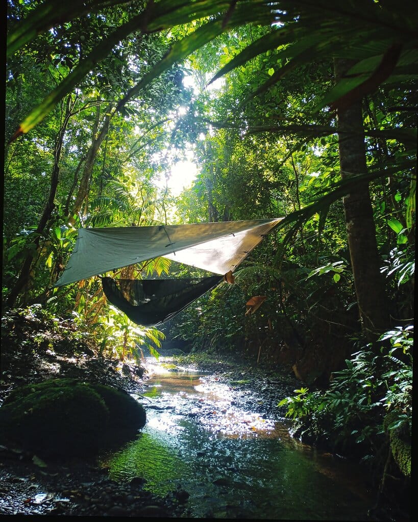 hammock in the jungle