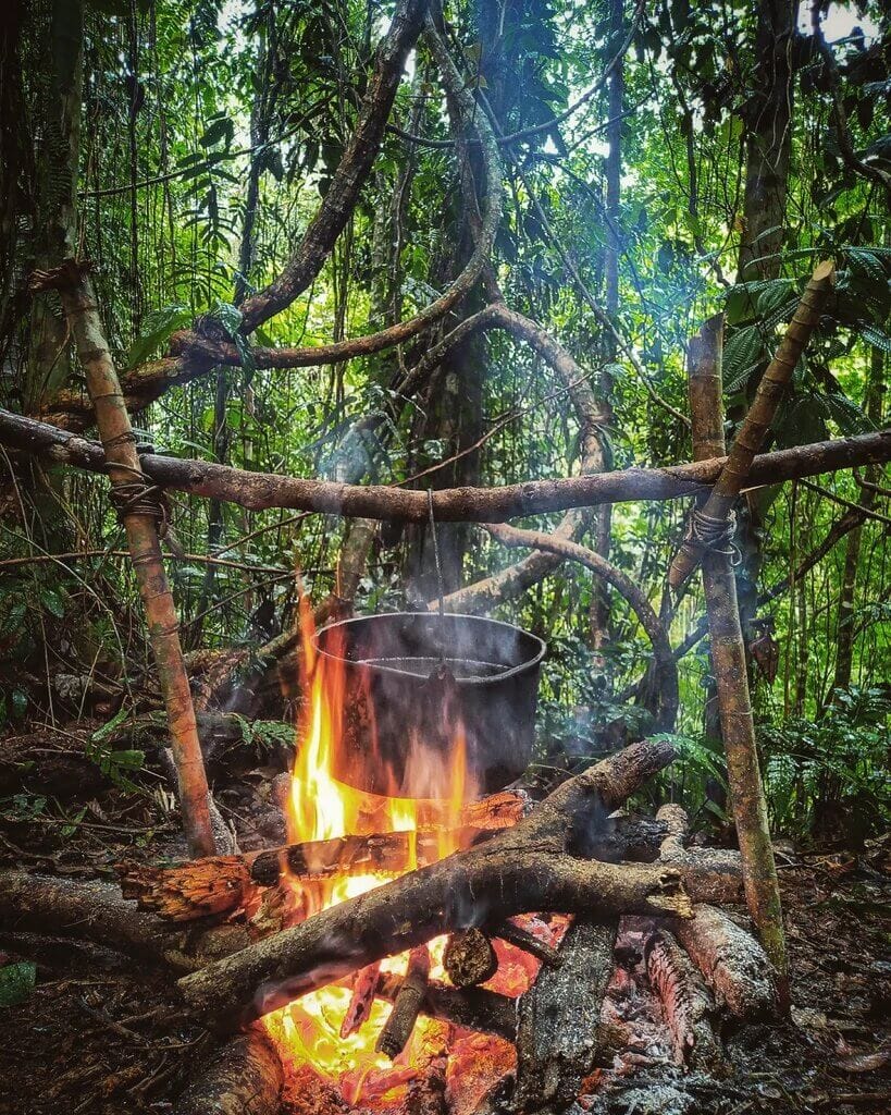fire in the jungle