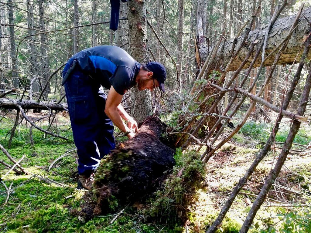 Sweden Alone bushcraft survival experience 9 Sweden Wilderness Expedition