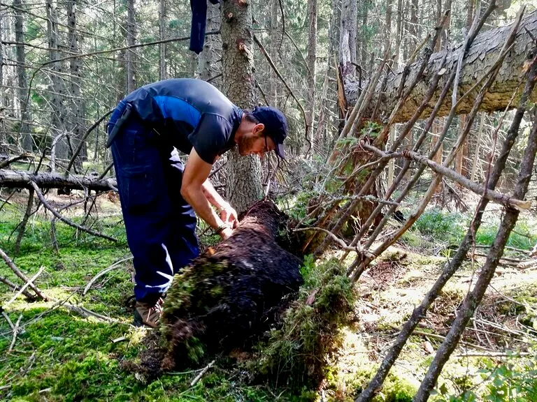 Sweden Wilderness Expedition