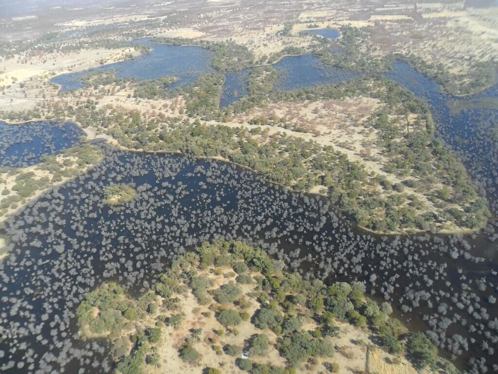 Botswana travel guide 13 WhatsApp Image 2024 06 07 at 10.47.45