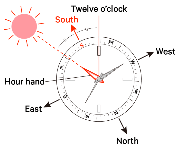 How to Tell Direction Without a Compass 4