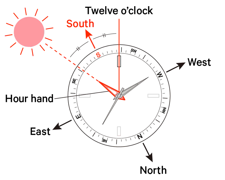 How to Tell Direction Without a Compass 4