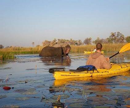 Botswana Kayak Bushcraft Safari in the Okavango Delta 2 elephant in river and people in kayaks