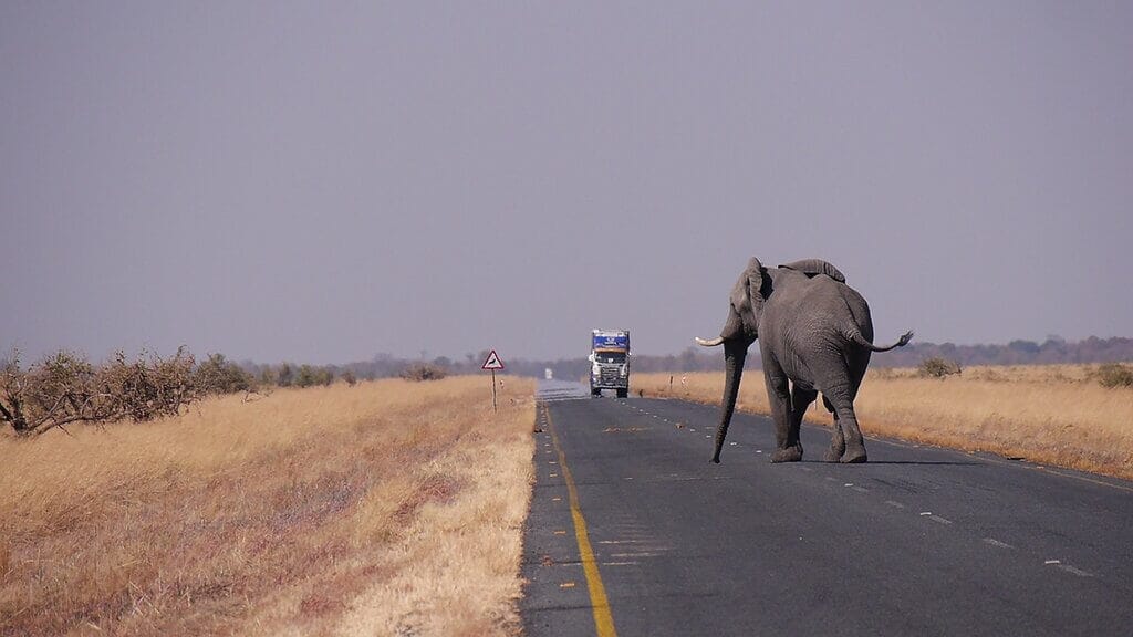 Botswana travel guide 1 botswana 1653101 1280