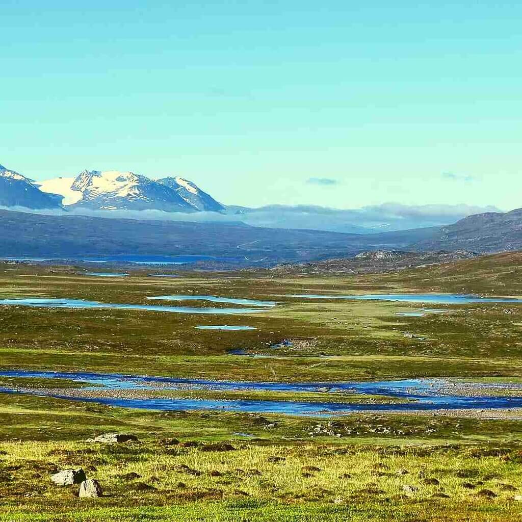 Exploring the Swedish Wilderness 2 Artic tundra