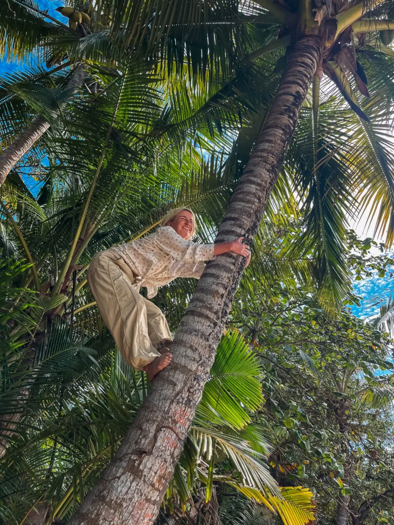 Woman climbing a palm tree, embodying a 'Survivor' spirit of resilience and adventure.