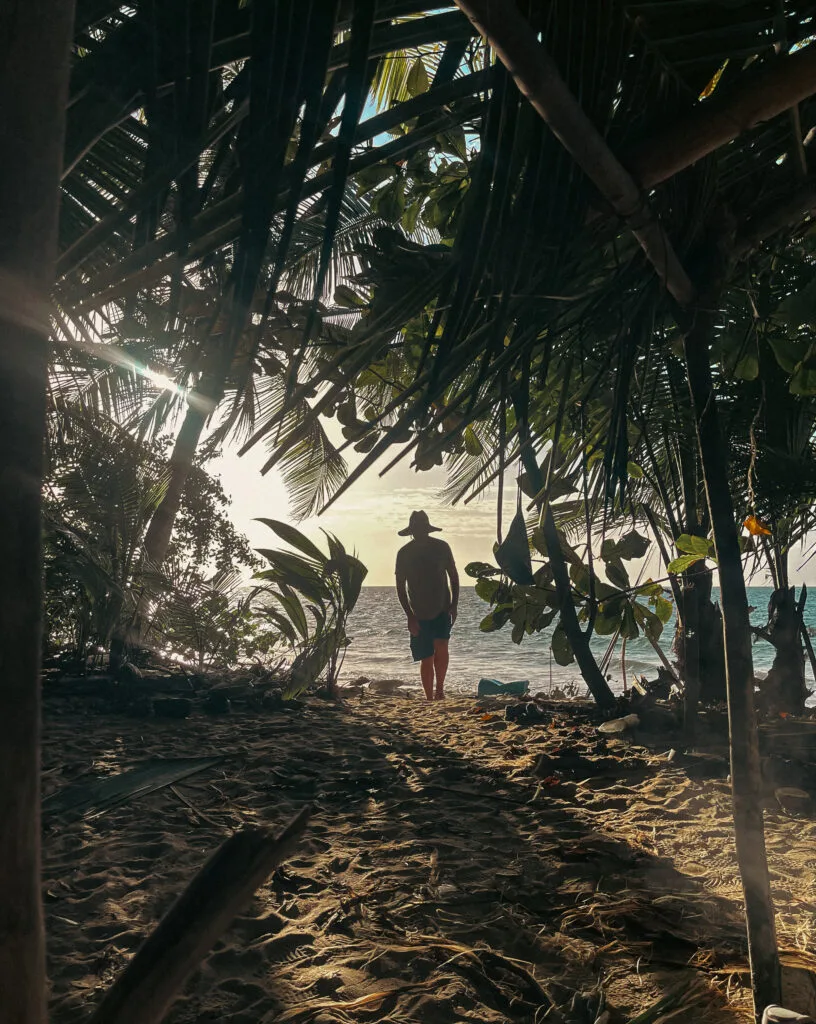 Person in hat walks toward the ocean on a sandy beach framed by tropical trees. Survivor strategies.