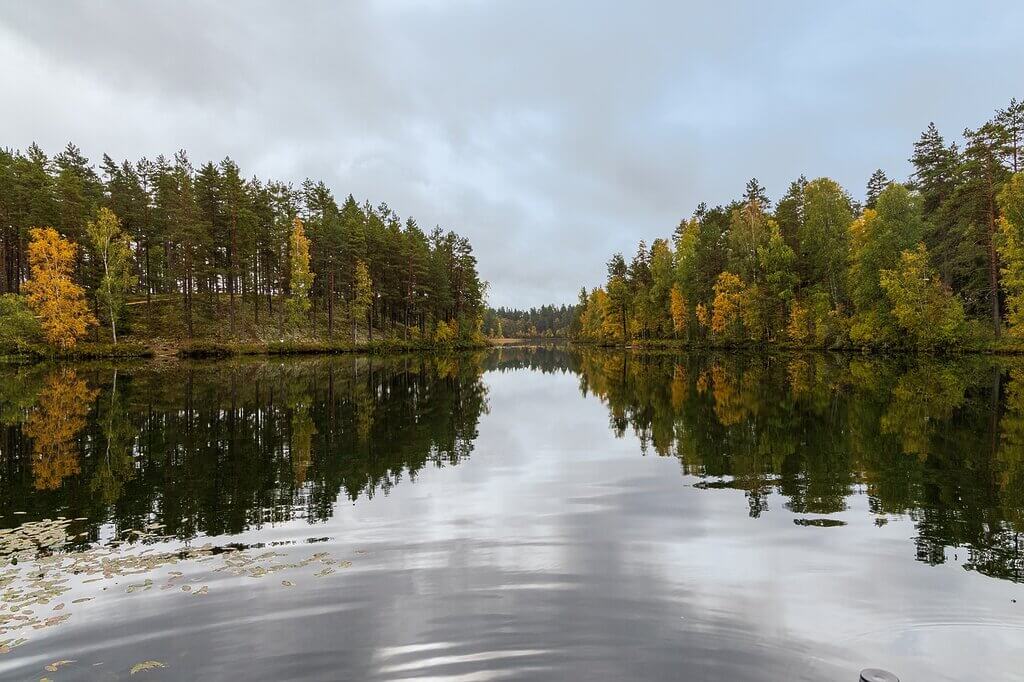 Exploring the Swedish Wilderness 6 Sweden forest