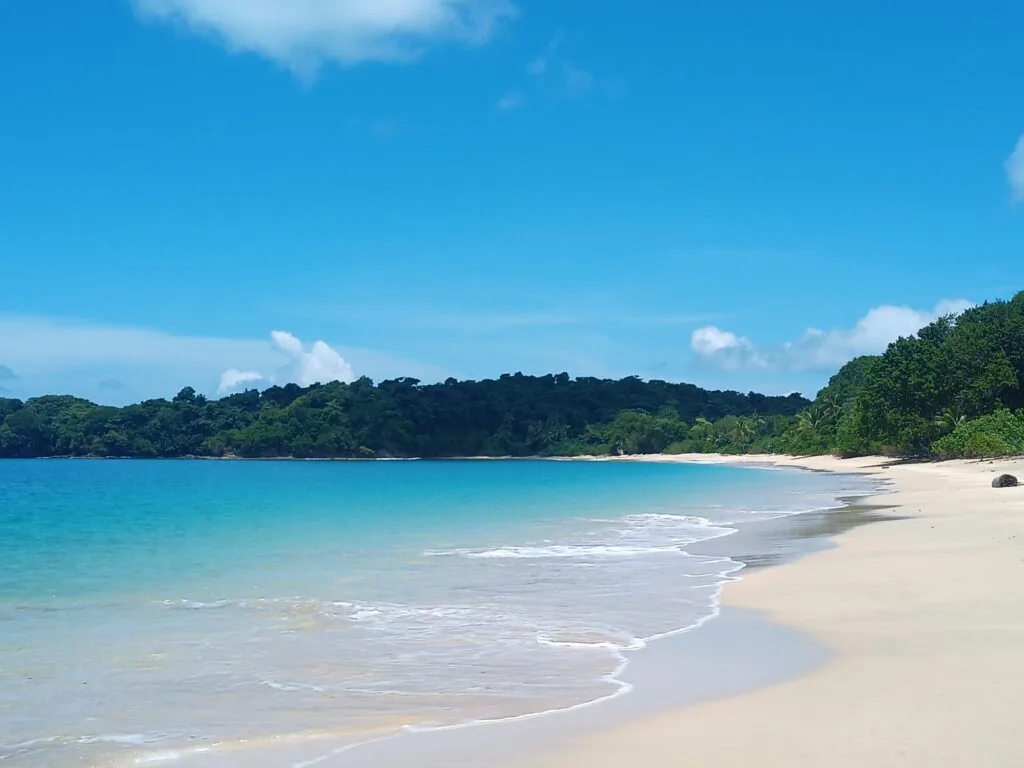 A pristine tropical beach with soft white sand, turquoise water, and gentle waves—an ideal setting for team building activities—bordered by lush green trees under a bright blue sky with scattered clouds.