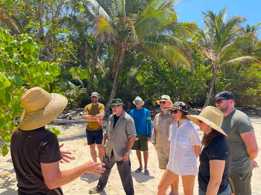A group of people in casual clothes and hats gather for a team building session, listening to a speaker on a sunny beach surrounded by palm trees and lush greenery.