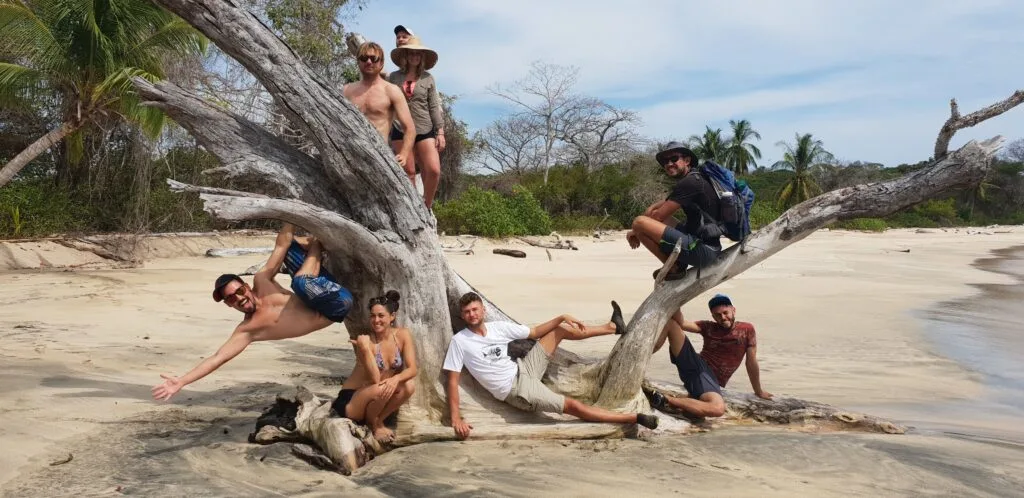 Team building: Group posing on driftwood at beach